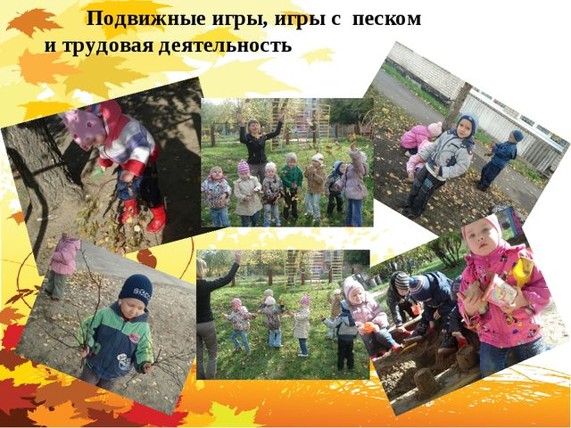 Презентация по познавательному развитию на тему "Прогулки с детьми в разное время года" (средняя группа)
