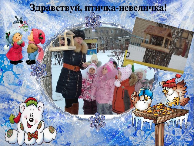 Презентация по познавательному развитию на тему "Прогулки с детьми в разное время года" (средняя группа)