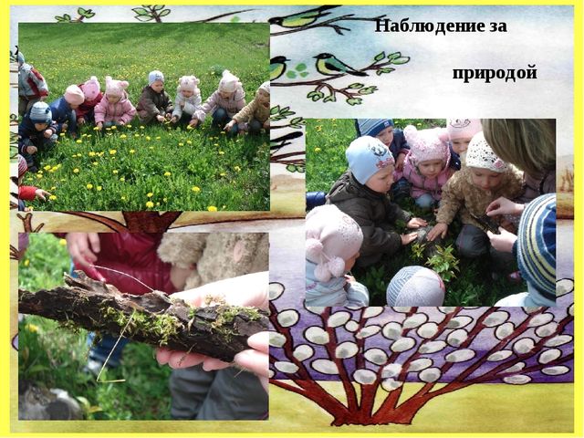 Презентация по познавательному развитию на тему "Прогулки с детьми в разное время года" (средняя группа)
