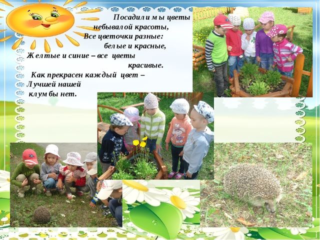 Презентация по познавательному развитию на тему "Прогулки с детьми в разное время года" (средняя группа)