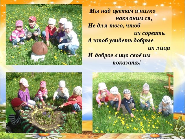 Презентация по познавательному развитию на тему "Прогулки с детьми в разное время года" (средняя группа)