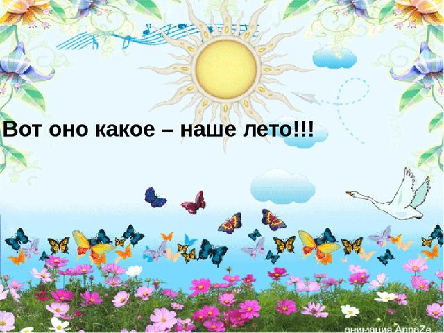 Презентация "Вот оно какое наше лето"