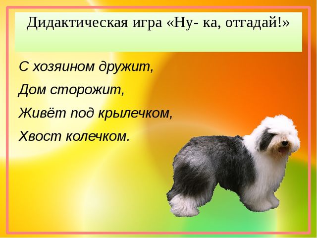 Презентация "Хочу все знать!"