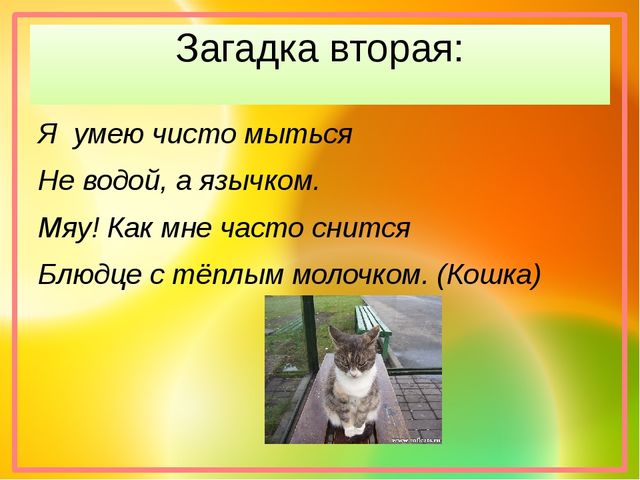 Презентация "Хочу все знать!"