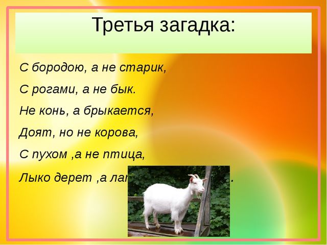 Презентация "Хочу все знать!"