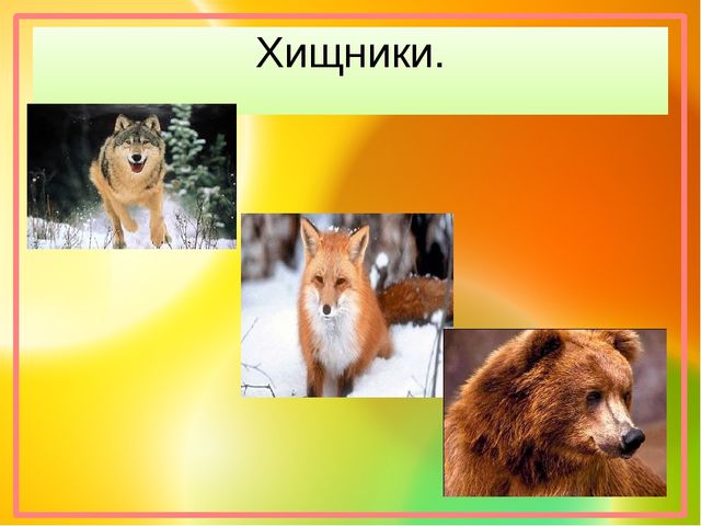 Презентация "Хочу все знать!"