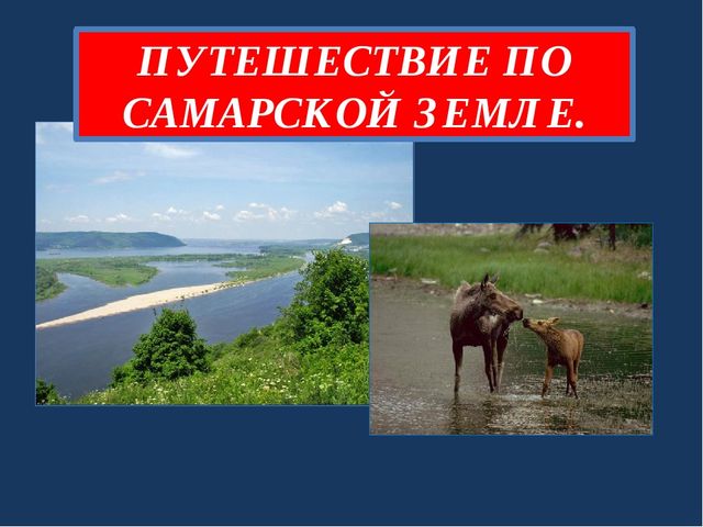 Ознакомление детей старшего дошкольного возраста с природой родного края.