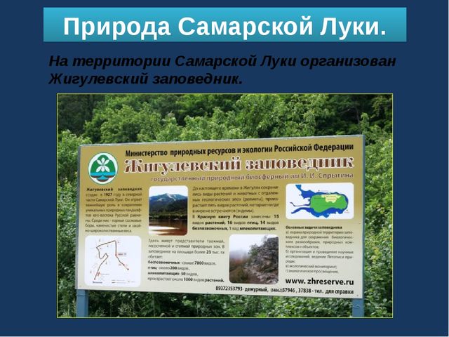 Ознакомление детей старшего дошкольного возраста с природой родного края.