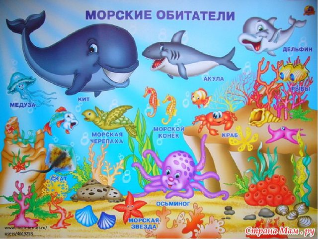 Презентация к итоговой образовательной деятельности по ФЭМП