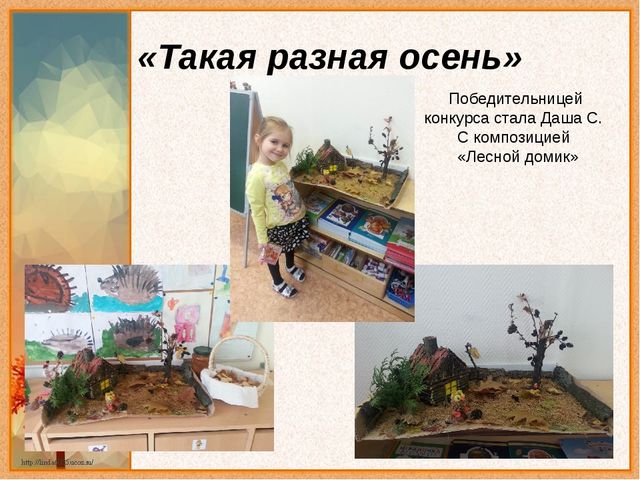 Конкурс "Такая разная осень"