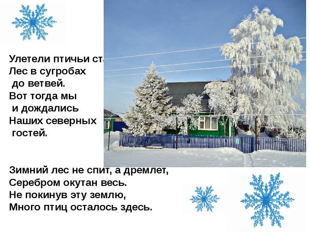 Презентация для детей дошкольного возраста по ознакомлению с окружающим на тему "Зимующие птицы"