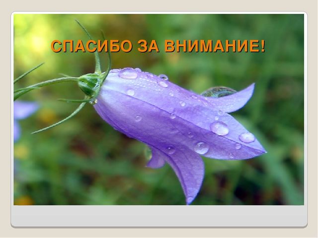Презентация "Физкультура и семейное воспитание"