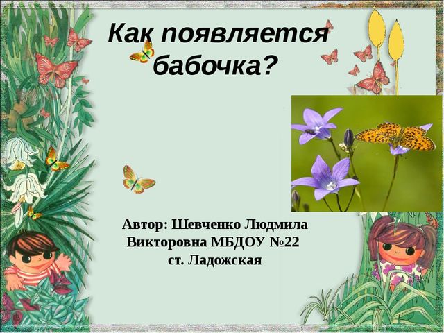 Мультимедийная презентация "Как появляется бабочка?"