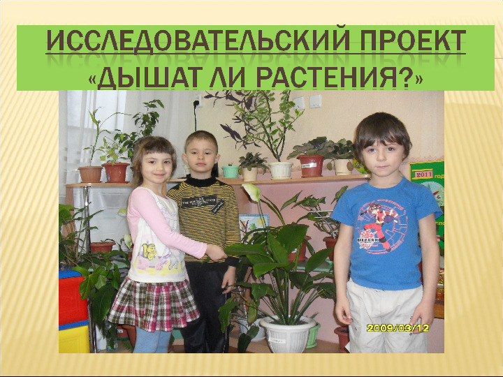 Презентация в детском саду «Как дышат растения»