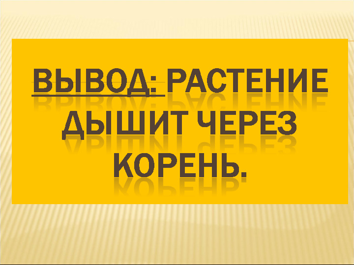 Презентация в детском саду «Как дышат растения»