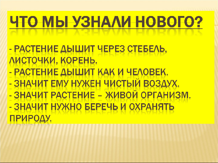 Презентация в детском саду «Как дышат растения»
