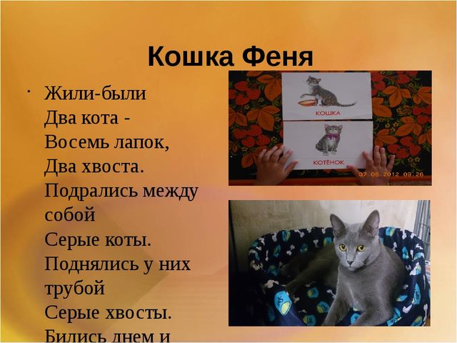 Презентация для второй младшей группы на тему: "Домашние животные"