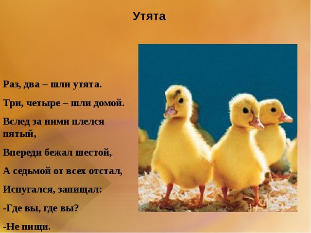 Презентация для второй младшей группы на тему: "Домашние животные"