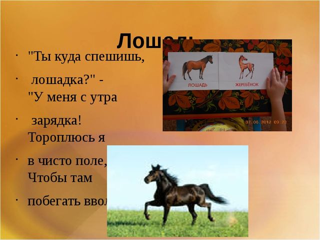 Презентация для второй младшей группы на тему: "Домашние животные"