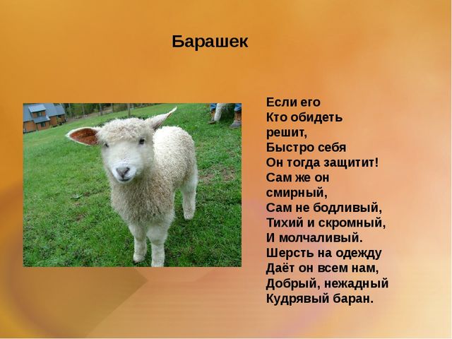 Презентация для второй младшей группы на тему: "Домашние животные"
