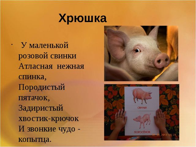 Презентация для второй младшей группы на тему: "Домашние животные"