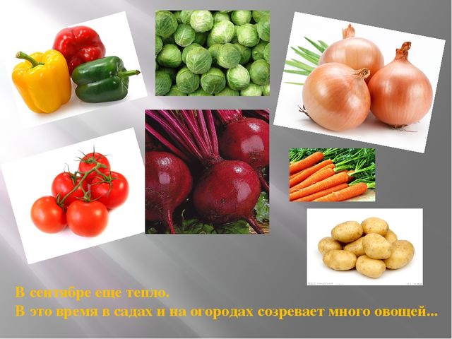 Презентация на тему "Здравствуй осень"
