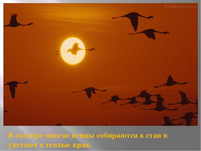 Презентация на тему "Здравствуй осень"