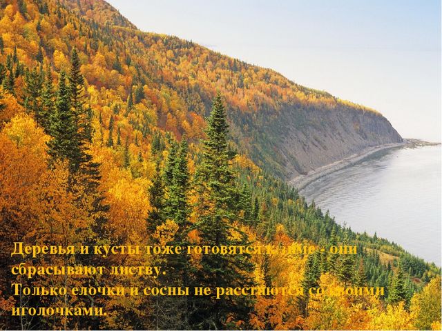 Презентация на тему "Здравствуй осень"