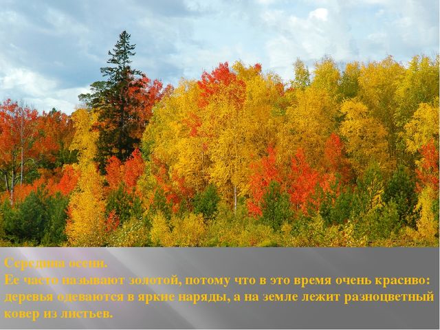 Презентация на тему "Здравствуй осень"