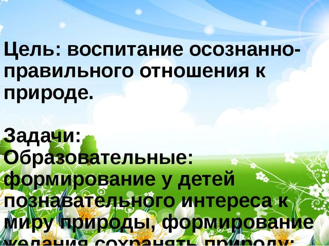 Презентация неделя: Наедине с природой