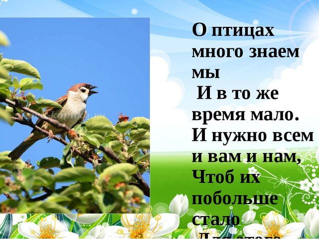 Презентация неделя: Наедине с природой