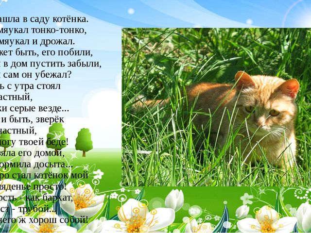 Презентация неделя: Наедине с природой