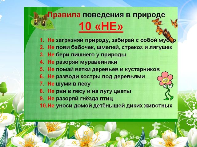 Презентация неделя: Наедине с природой