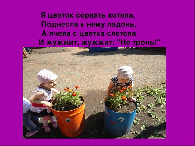Презентация на тему:"Вот оно какое наше лето".