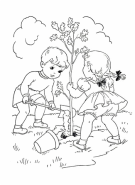 Picture 1