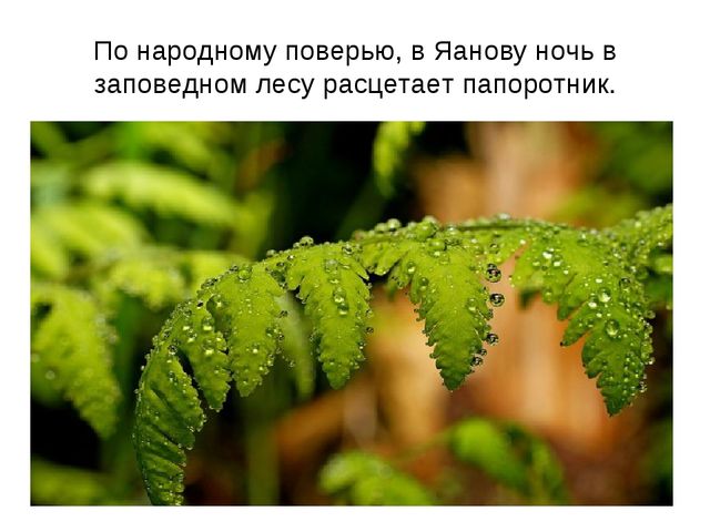 Презентация посвященная С. Есенину