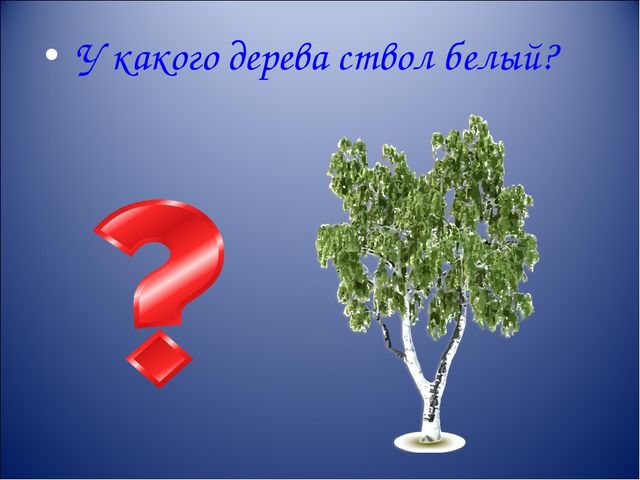 Презентация интерактивной игры " Что? Где? Когда?" для старших дошкольников