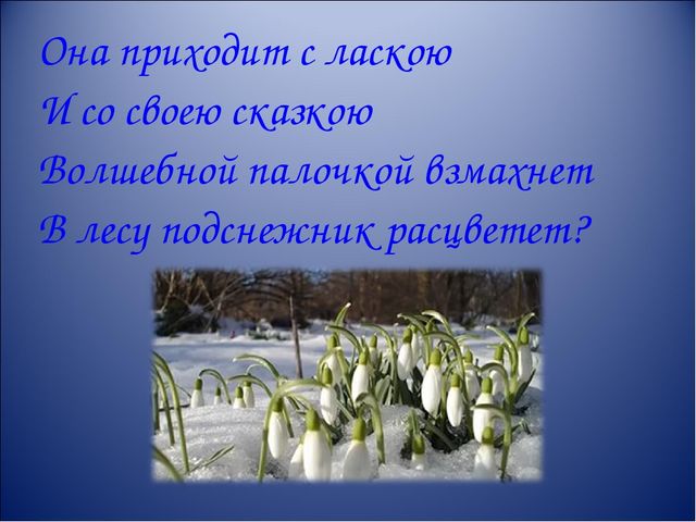 Презентация интерактивной игры " Что? Где? Когда?" для старших дошкольников