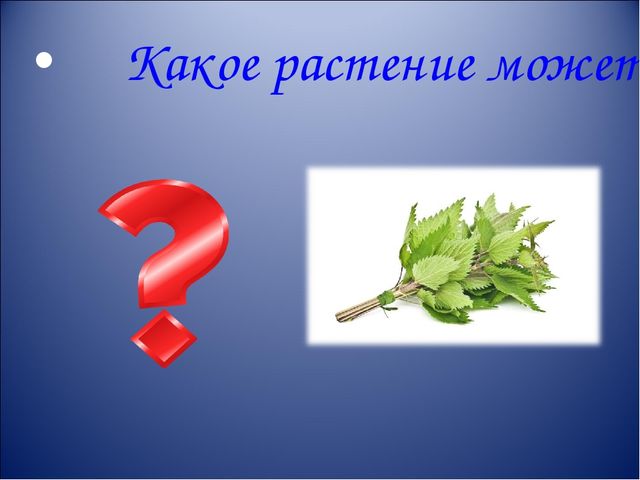 Презентация интерактивной игры " Что? Где? Когда?" для старших дошкольников