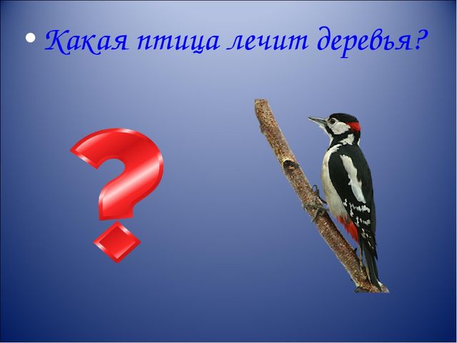 Презентация интерактивной игры " Что? Где? Когда?" для старших дошкольников
