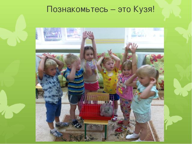 Презентация "Ура, лето к нам пришло!"