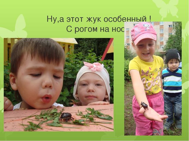 Презентация "Ура, лето к нам пришло!"