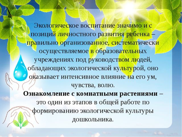 Презентация к проекту "Наши зеленые друзья"