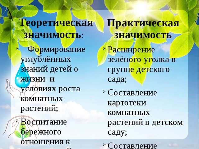 Презентация к проекту "Наши зеленые друзья"