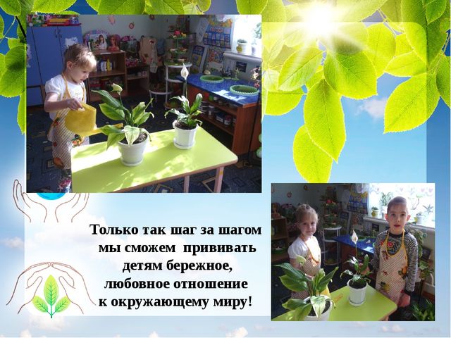 Презентация к проекту "Наши зеленые друзья"