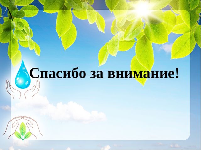 Презентация к проекту "Наши зеленые друзья"