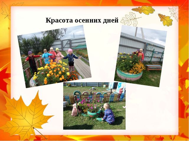 Презентация проекта "Осень золотая"