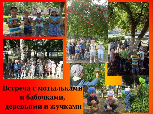 Презентация на тему: "Лето,лето ты какого цвета?" (2 часть)
