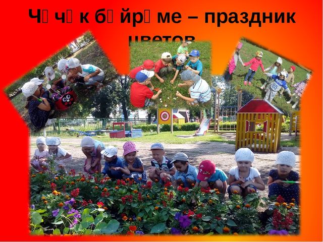 Презентация на тему: "Лето,лето ты какого цвета?" (2 часть)