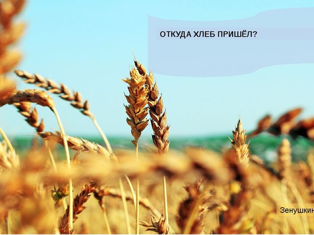 Презентация "Откуда хлеь на стол пришел?"